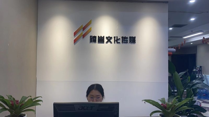 宣传片脚本代写哪家公司靠谱
